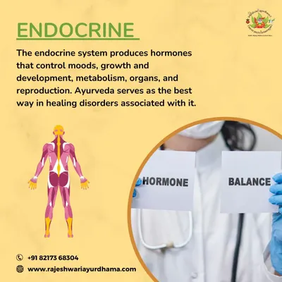 We specialize in treating endocrine system disorders. Ayurveda provides a powerful framework for healing hormonal imbalances that control mood, metabolism, and growth by addressing the root cause.
