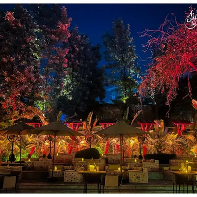 A wide view of the 'Neon Jungle' setup, where I used a combination of red and white uplighting on the trees to create a dramatic contrast against the night sky, transforming the outdoor space into a wild, atmospheric party zone.