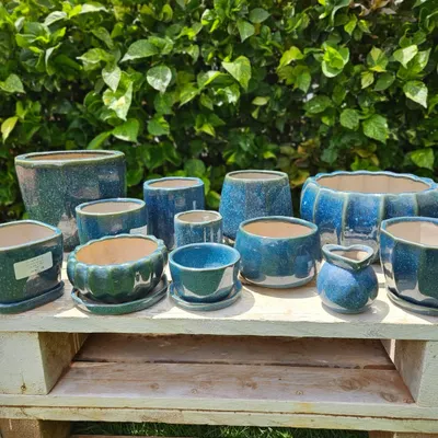 The color blue brings a sense of calm and serenity. This collection of glazed ceramic planters in various shades of blue is perfect for creating a tranquil corner in your garden or home.