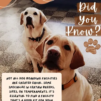 Did you know that not all dog boarding facilities are the same? It's important to find one that fits your dog's individual needs, temperament, and size.