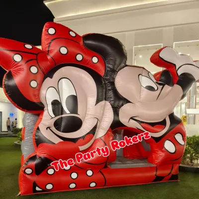 A bouncy castle is always a huge hit with the kids! I can arrange for various themed bouncy castles, like this Mickey and Minnie Mouse one, for any outdoor or large indoor party.