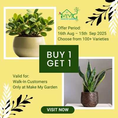 Double the greens, double the happiness. This graphic announces our popular "Buy 1 Get 1" offer, valid for walk-in customers on over 100 varieties of plants. A perfect time to grow your collection.