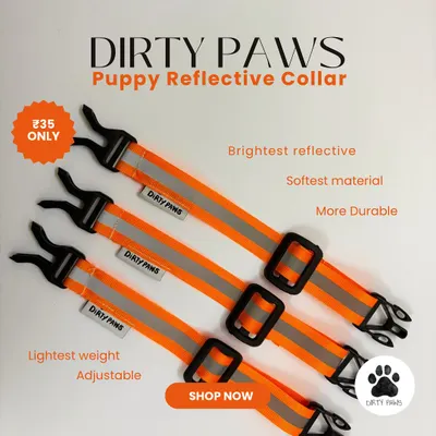 An advertisement for my puppy reflective collars. This image clearly lays out the product's features: brightest reflection, softest material, durability, lightest weight, and adjustability.