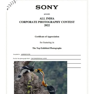 My photograph titled 'Unconditional Love', featuring the Great Hornbills, received a Certificate of Appreciation in the Sony All India Corporate Photography Contest 2022.