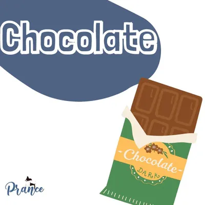 Chocolate, especially dark chocolate, is highly toxic to dogs. Always keep it well out of reach and contact a vet immediately if you suspect your dog has eaten any.