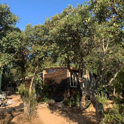 The beautiful, natural setting for our yoga retreat in Sardinia, Italy. A rustic cabin nestled among the trees, perfect for a spiritual getaway.