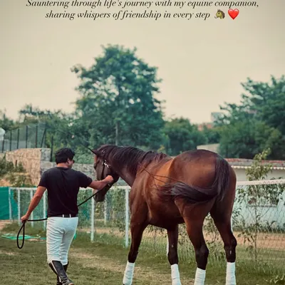 This is the goal of my matchmaking service: a rider and horse walking together in complete harmony, sharing a journey built on friendship.