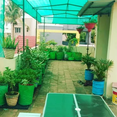 This is a full terrace vegetable garden setup. I've used a variety of grow bags and pots, arranged neatly under a green shade net to protect the plants from the harsh afternoon sun, ensuring they grow healthy and strong.