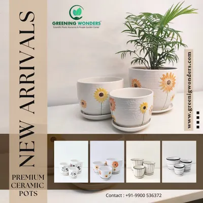 Our new arrivals include these beautiful premium ceramic pots with a sunflower motif. Available in a set of three sizes, they come with matching saucers to protect your surfaces and ensure proper drainage.