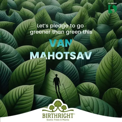 This Van Mahotsav, we pledged to go greener than green. It's a commitment to not just planting trees, but fostering a movement of environmental consciousness.