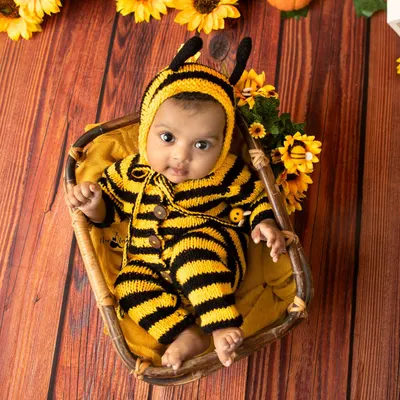 What a sweet little honeybee. This sitter session features a handmade knit bee costume and a sunflower theme, perfect for a curious baby.