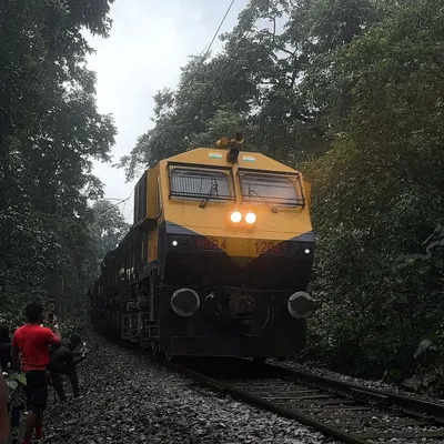 The iconic railway track trek to Dudhsagar. A train passes by as trekkers walk along the tracks through the dense forest, a unique part of this adventure.