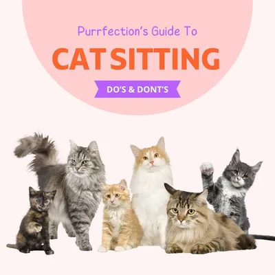 I put together a comprehensive guide on the do's and don'ts of finding a trusted cat sitter or boarding facility. I hope this helps fellow cat parents!