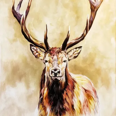 A portrait of a majestic deer, looking directly at the viewer. Painted with acrylic on a 2 by 3 feet canvas, the focus is on its powerful antlers and intense gaze, set against a soft, warm background.