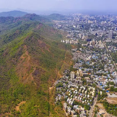 This aerial view shows the stark boundary between the green expanse of Sanjay Gandhi National Park and the dense urban sprawl of Mumbai. This is the frontline of human-wildlife interaction, a 9000-hectare forest in the heart of a megacity.