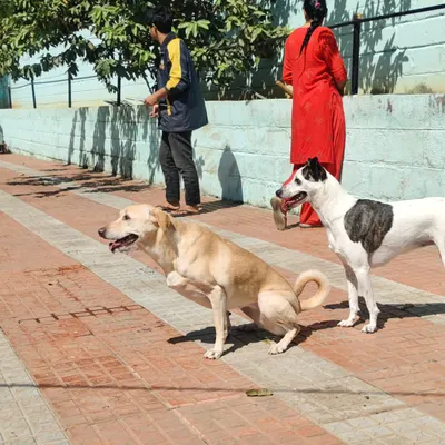 A couple of our guests enjoying the sun with one of my team members. Just a normal, happy day.