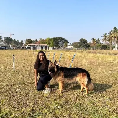 Training is so much more than just commands. It's about building a relationship based on mutual trust. When your dog trusts you, solving most behavior issues becomes so much easier.