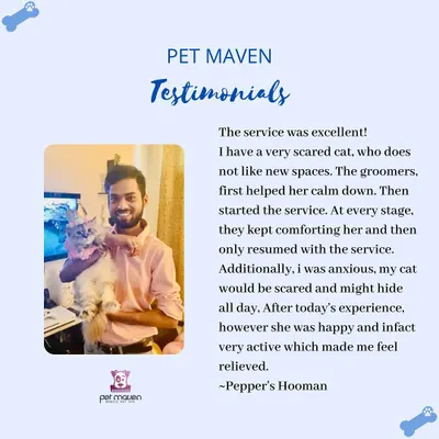 This wonderful testimonial for our cat grooming service speaks for itself. We took our time to calm this scared cat, proving that even anxious felines can have a positive grooming experience with us.