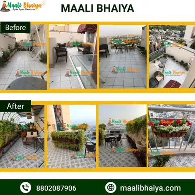 This is a complete terrace transformation I did for a client. I used a mix of vertical planters, railing pots with seasonal flowers, and floor planters to create different layers of green. The result is a beautiful, low maintenance garden with a view.