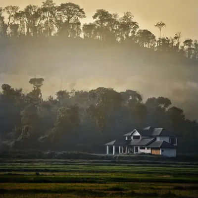 An atmospheric shot of a solitary house in the Malnad region, surrounded by misty forests and paddy fields during the golden hour.