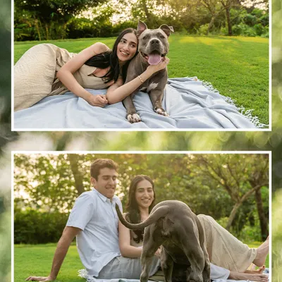 A collage from an Alibaug engagement shoot, featuring Millie the pitbull. The images capture both a loving portrait with her mom and a funny, real-life moment of her photobombing the couple.