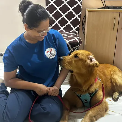 This quiet moment with a beautiful Golden Retriever is what my work is all about. It's not about commands, but about a shared look of understanding and trust. When a dog feels this calm, they know they are in safe hands.