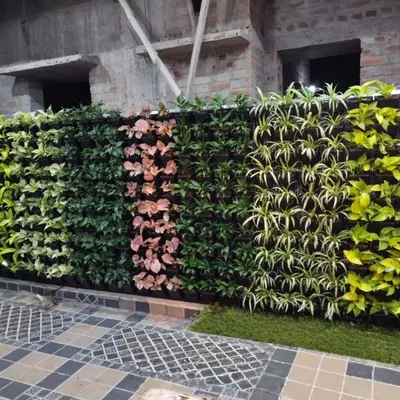 This large outdoor green wall uses different plant varieties to create distinct vertical stripes of color and texture. I manage the health and growth of each section to maintain the integrity of the design.