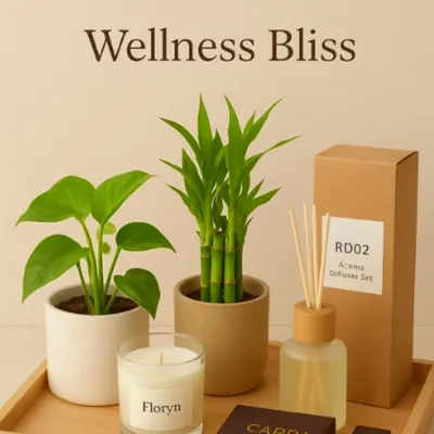 The 'Wellness Bliss' hamper is designed to create a tranquil atmosphere. It pairs a lucky bamboo and a philodendron with a scented candle, chocolates, and an elegant reed diffuser set, making it a perfect gift for promoting relaxation and well-being.