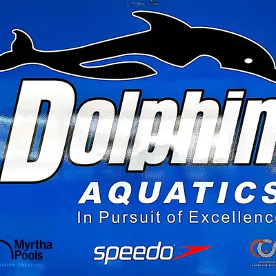 The official banner for Dolphin Aquatics, showcasing our commitment to excellence and our partnership with leading brands like Speedo. We provide a world-class training environment.