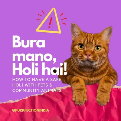 Bura mano, Holi hai! This is your friendly reminder on how to have a safe Holi with pets and community animals. Let's keep the celebrations fun for everyone, including our four-legged friends.