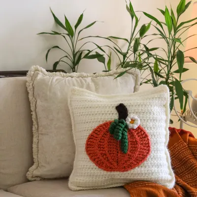 A simple touch of autumn for my home. This pumpkin applique cushion brings instant coziness to this neutral-toned sofa.