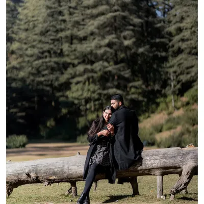 A cozy, candid moment in the middle of a pine forest. The couple is wrapped in warm coats, sharing a laugh on a fallen log, creating a perfect image of comfortable, adventurous love.