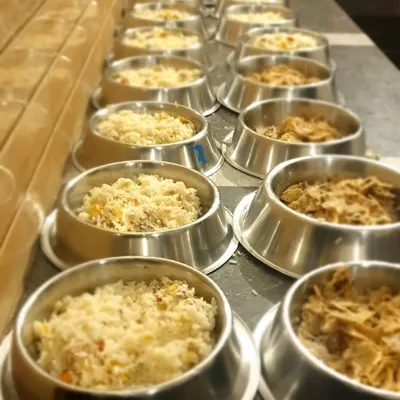 Mealtime is serious business and a highlight of the day. We prepare fresh, home-cooked meals right here in our kitchen, with options for both vegetarian and non-vegetarian diets. Each bowl is portioned to ensure every pet gets a healthy, delicious, and satisfying meal.