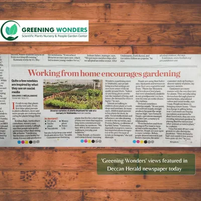 We were delighted to be featured in the Deccan Herald for our views on how working from home has encouraged a new wave of gardening in Bengaluru. This recognition highlights our role as experts in the local gardening scene.