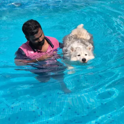 Here I am with a beautiful Husky during her swim session. We stay in the water with them to ensure they feel safe and confident, especially if they are new to swimming.