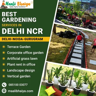 This shows the variety of services I provide across Delhi NCR. From a terrace garden with a stepping stone path to rows of indoor plants on artificial grass, I can handle any gardening requirement you have.