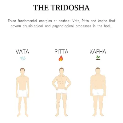 This infographic introduces the three Ayurvedic doshas: Vata, Pitta, and Kapha. Understanding your fundamental energy helps in creating a diet plan that balances your body's natural tendencies.
