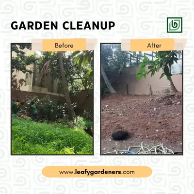 From a pura jungle to bilkul saaf. This garden cleanup in Koramangala was an intensive project where we removed every last bit of overgrowth, weeds, and old leaves, leaving the client with a fresh, usable space.