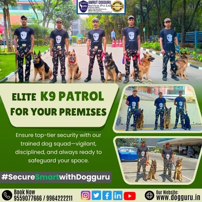 Our K9 patrol team, composed of professional handlers and trained German Shepherds, stands ready. This is the image of discipline and readiness we bring to every site, ensuring your space is safeguarded around the clock.