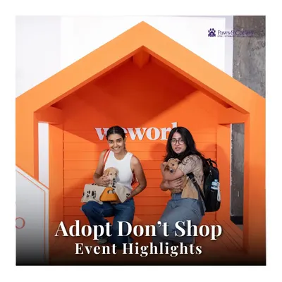 We were thrilled to be part of this "Adopt Don't Shop" event. This image captures the joy of two new pet parents who found their forever friends, showcasing the heartwarming success of the day.