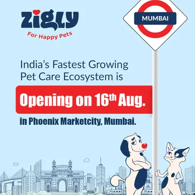 An announcement graphic for our new store opening in Phoenix Marketcity, Mumbai, featuring our animated mascots.