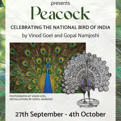 This is the poster from my exhibition on the Peacock, our national bird, held at Museo Camera in Gurugram. I was delighted to collaborate with the renowned sculptor Shri Gopal Namjoshi to celebrate the beauty and life of the peafowl.