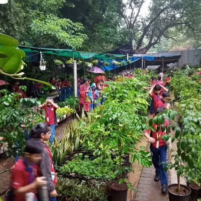 School children exploring the aisles of my nursery during a field trip. I believe it's important for kids to connect with nature, and I'm always happy to host groups and share my love for plants.