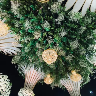 A view from below of a complex ceiling installation. I used a base of green foliage and attached large white floral structures and hanging crystal lights to transform the space.