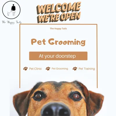 Welcome to Happy Tails, where professional pet grooming comes to you. I offer a convenient and complete service right at your doorstep, so your pet stays in their happy place.