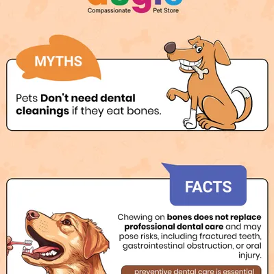 Let's bust a common myth! Chewing on bones does not replace professional dental care and can even pose risks like fractured teeth. Preventive dental care is essential for your pet's health.