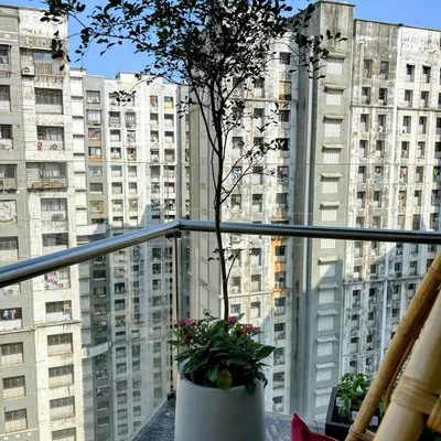 A single, elegant tree in a modern planter can make a powerful statement, even on a small balcony against a dense city backdrop.