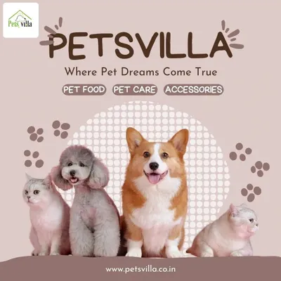 We proudly serve a community of diverse pet parents. Our services and products for pet care, food, and accessories are curated to meet the needs of both cats and dogs.
