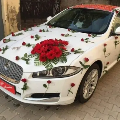 An elegant wedding car decoration for a white Jaguar. The design uses a simple bouquet of red gerberas on the hood and scattered single red roses for a classy look.