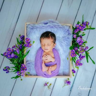 A beautiful example of a color-themed newborn shoot. Here, a soft purple wrap and matching flowers create a rich, vibrant portrait, highlighting the baby's peaceful expression while nestled in a fur-lined box.